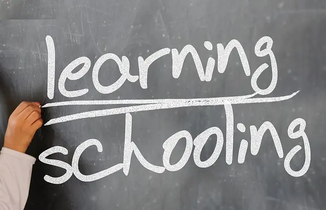 Comment choisir sa spécialisation en grande école : 10 conseils clés
