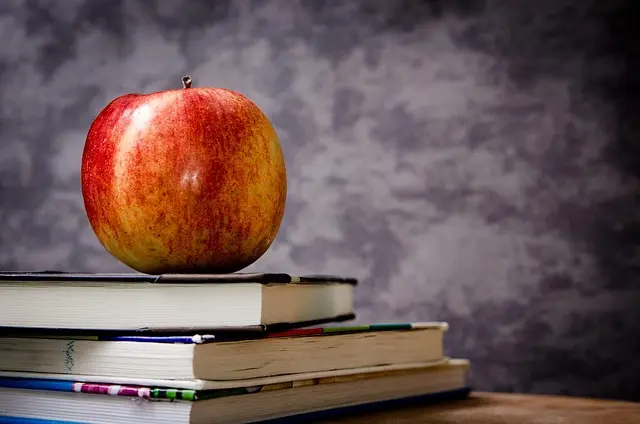 Les meilleures grandes écoles pour étudier le management