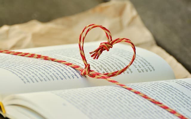 Conseils pour réussir votre dossier de candidature en grande école